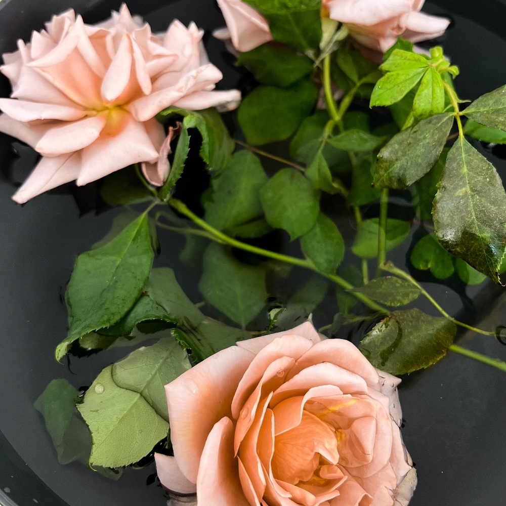 Meet your Posher, MK